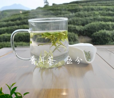 普洱茶 区分/2023042865432